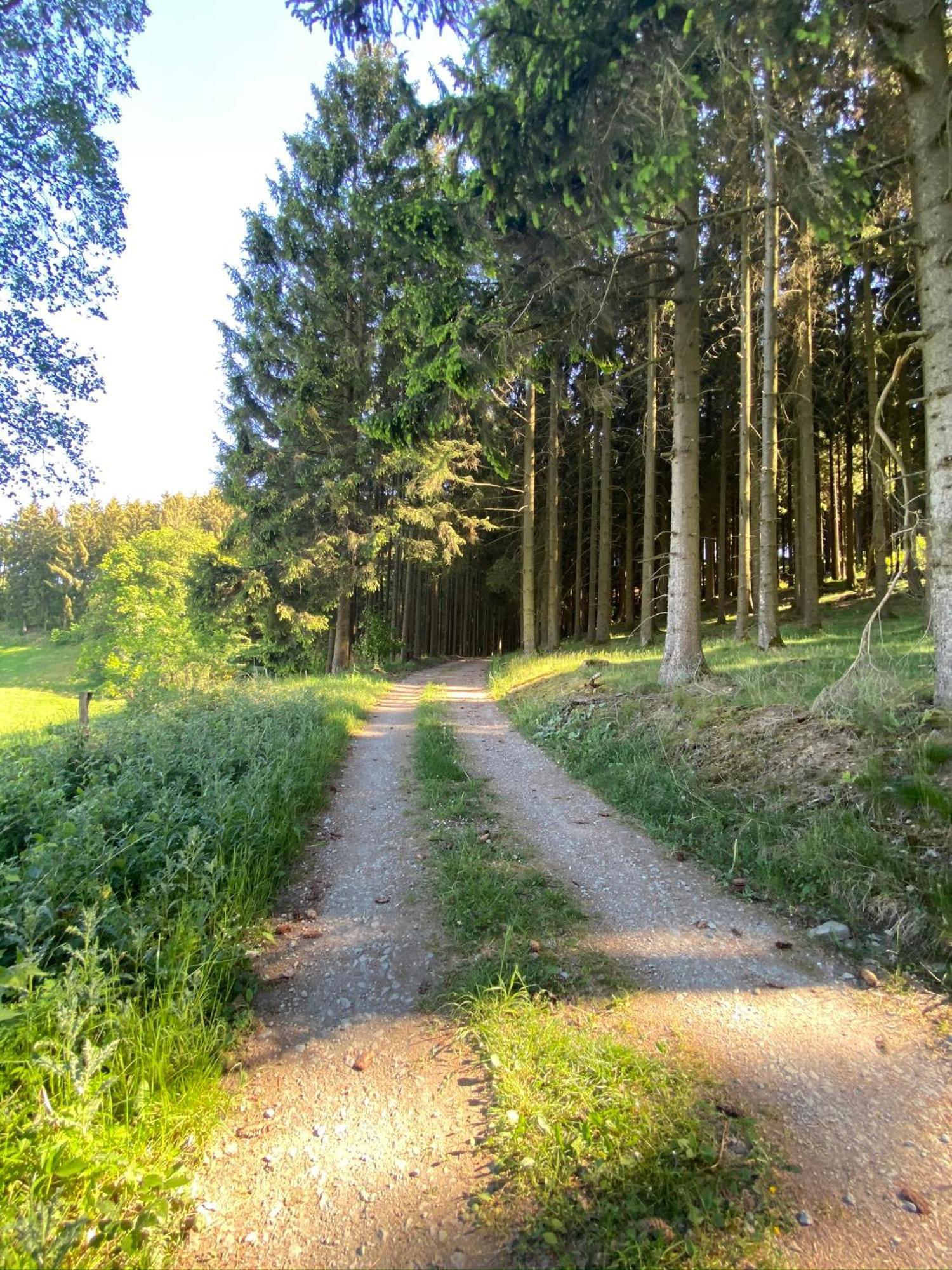 Ferienwohnung Riekes Schmallenberg Buitenkant foto